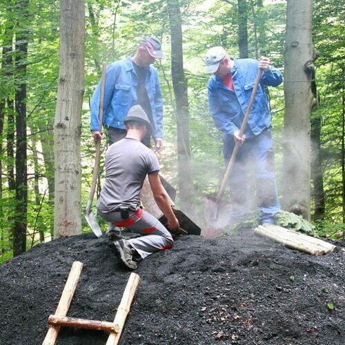 Kohlemeiler in Wieden