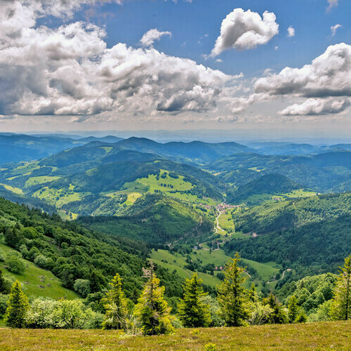 Blick vom Belchen