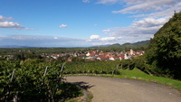 Blick auf Britzingen mit seinen Weinreben und das Markgrfler Land. Foto: Bernhard Seger. 