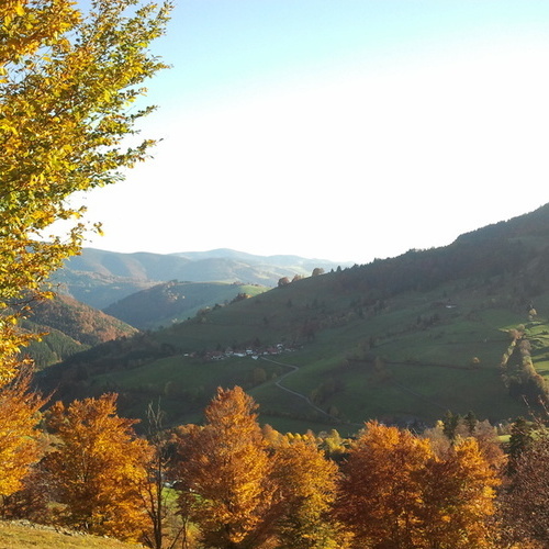 Panoramablick vom Haus - 