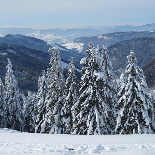 Winterliche Impressionen zwischen Feldberg und Belchen - 