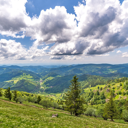 Blick vom Hausberg Belchen (1.414 m) - 