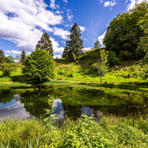 Der Letzbergweiher, wenige Gehminuten vom Haus am B&uuml;hl entfernt. - 