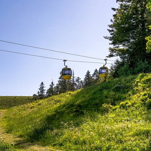 Ein Highlight - die Berg- und Talfahrt mit der Belchen-Seilbahn - 